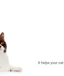 BonaCibo Super Premium Kitten Dry Food For All Breeds 1.5kg