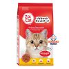 Zoi Cat Adult Dry Cat Food Mix Flavour 1kg