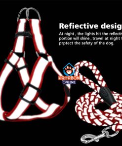 Dog Harness With Leash Set For Dogs Large Size