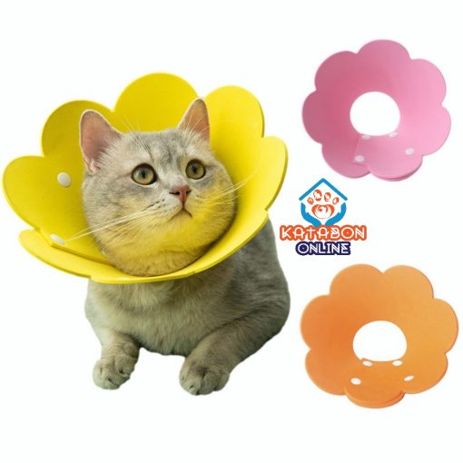 Sun Flower Coller For Cat